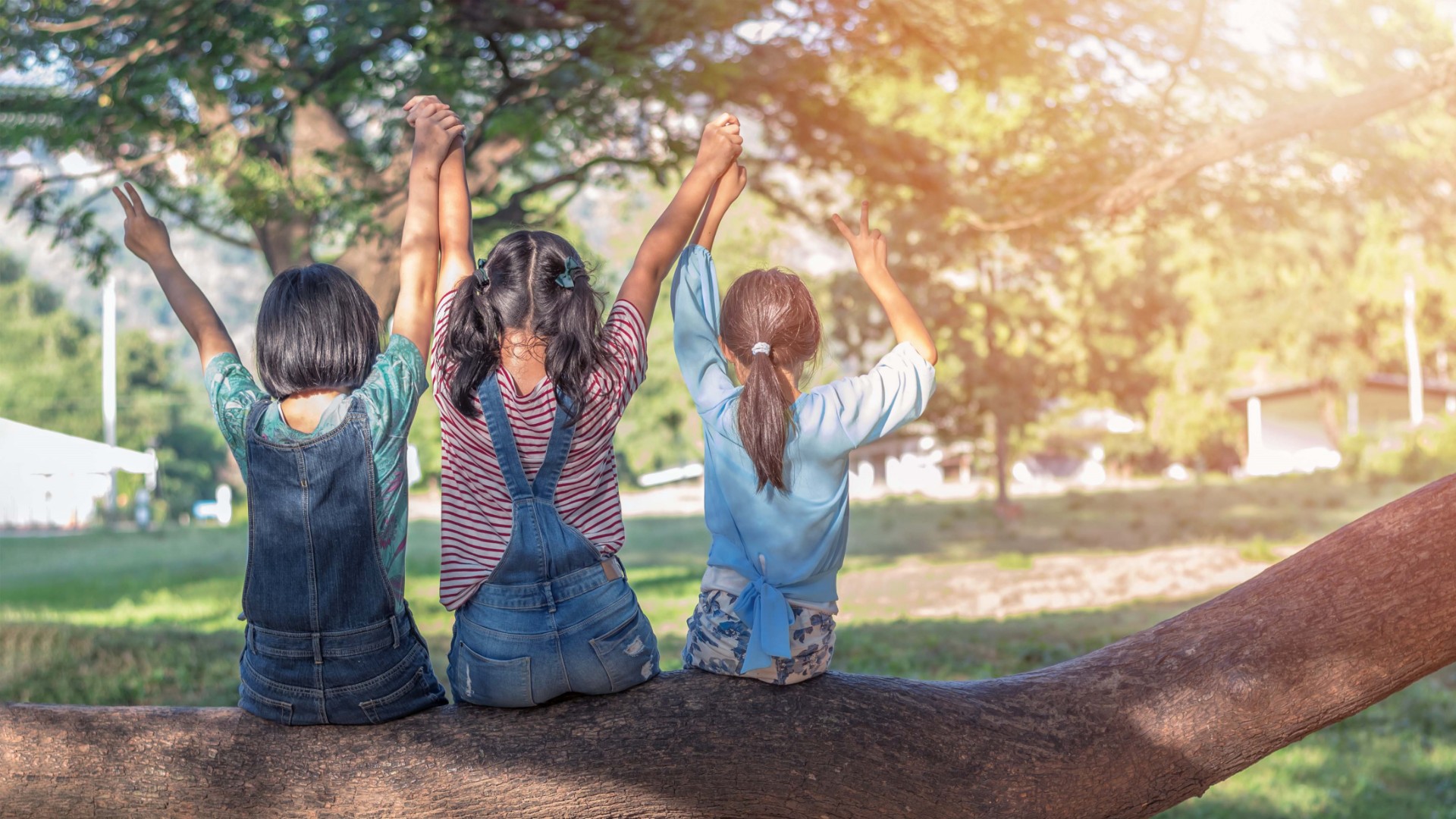 Stories from our community | May edition